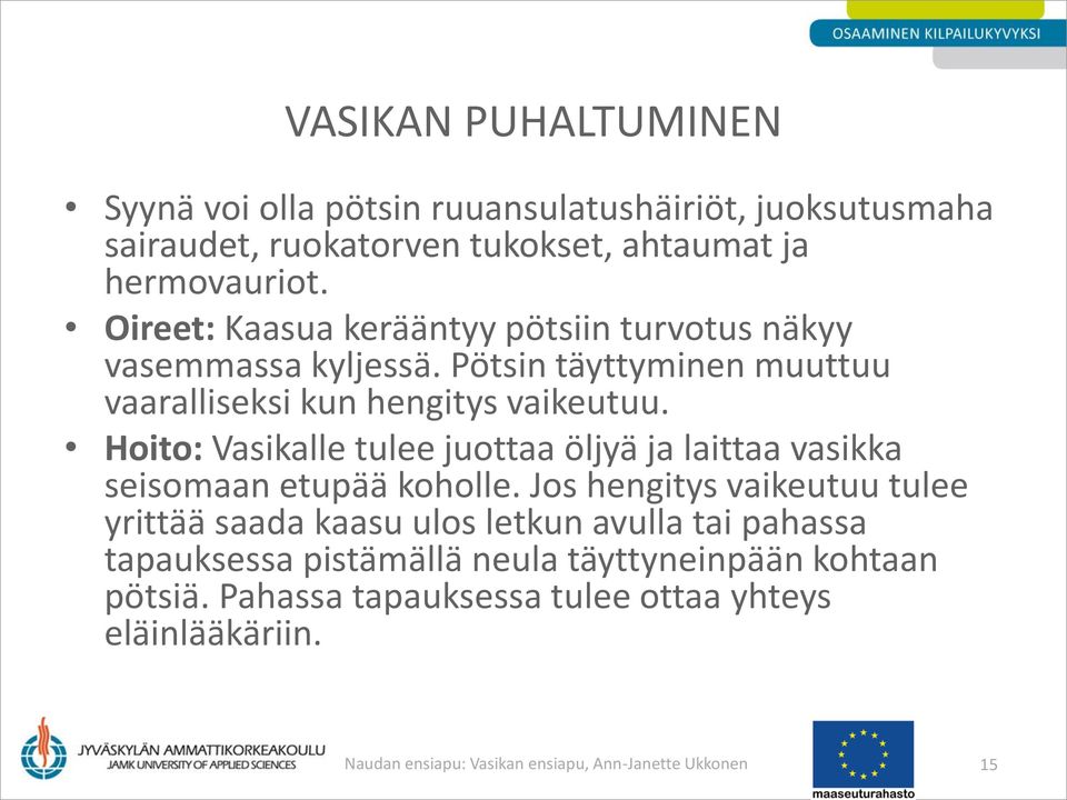 Hoito: Vasikalle tulee juottaa öljyä ja laittaa vasikka seisomaan etupää koholle.