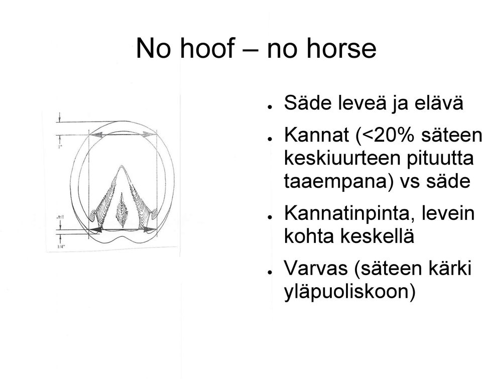 taaempana) vs säde Kannatinpinta, levein