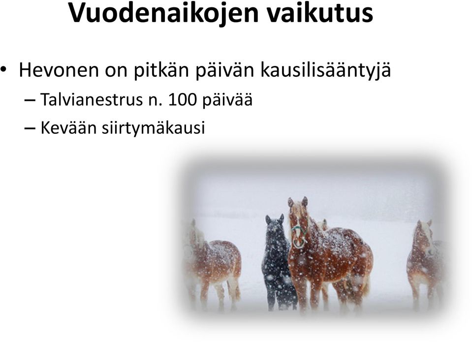 kausilisääntyjä