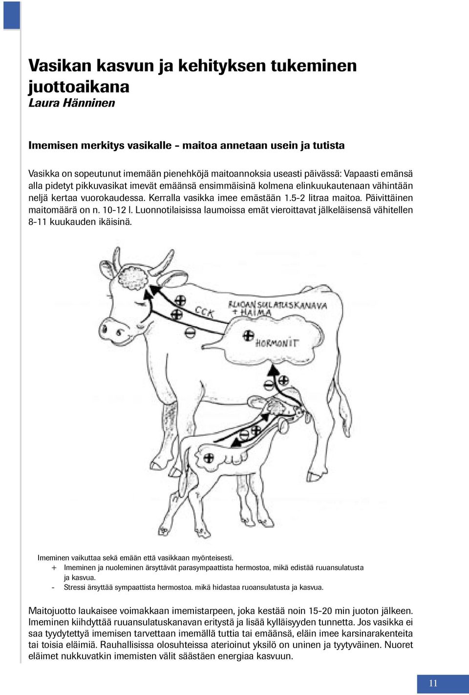 Päivittäinen maitomäärä on n. 10-12 l. Luonnotilaisissa laumoissa emät vieroittavat jälkeläisensä vähitellen 8-11 kuukauden ikäisinä. Imeminen vaikuttaa sekä emään että vasikkaan myönteisesti.