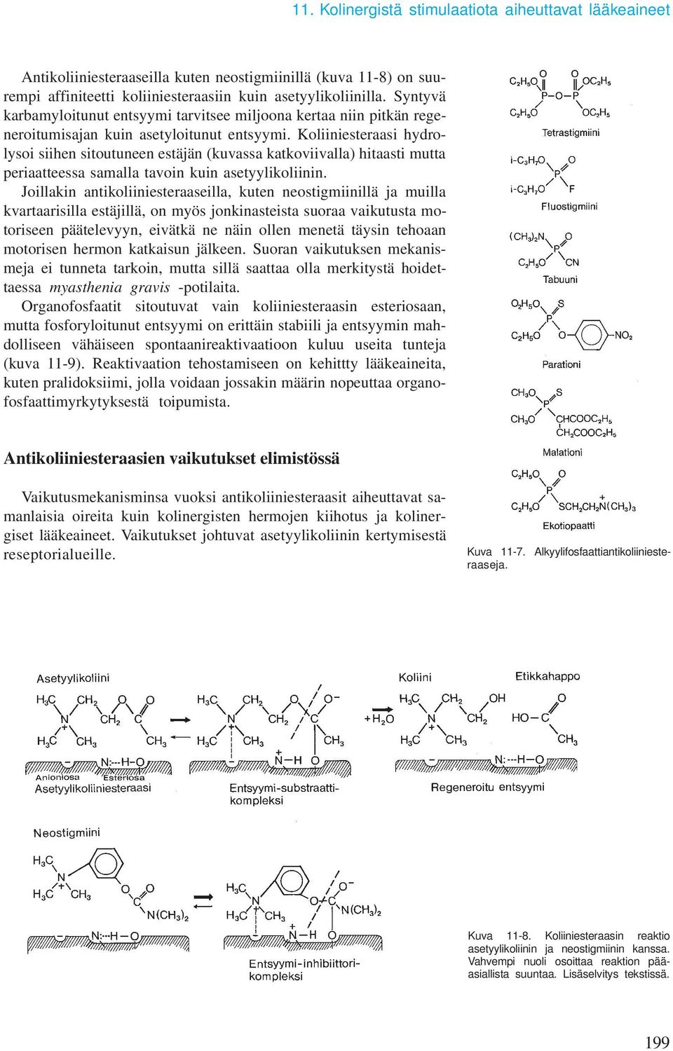 Koliiniesteraasi hydrolysoi siihen sitoutuneen estäjän (kuvassa katkoviivalla) hitaasti mutta periaatteessa samalla tavoin kuin asetyylikoliinin.