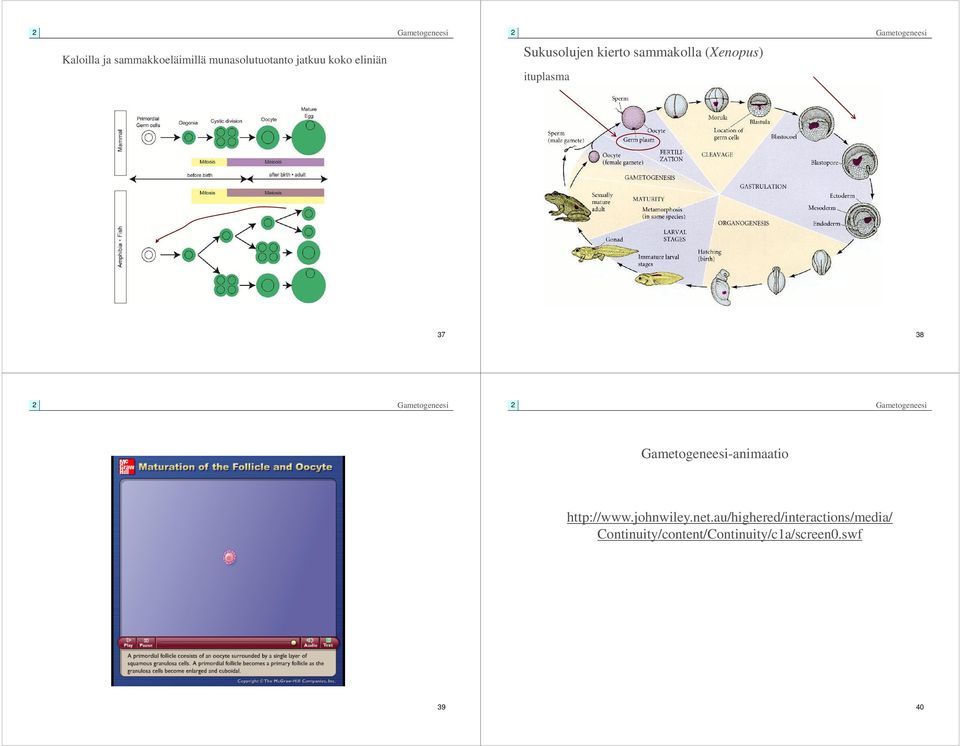 38 -animaatio http://www.johnwiley.net.