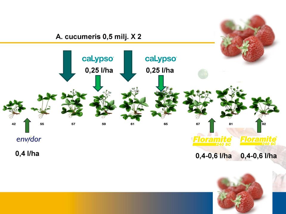 0,25 l/ha 0,4 l/ha