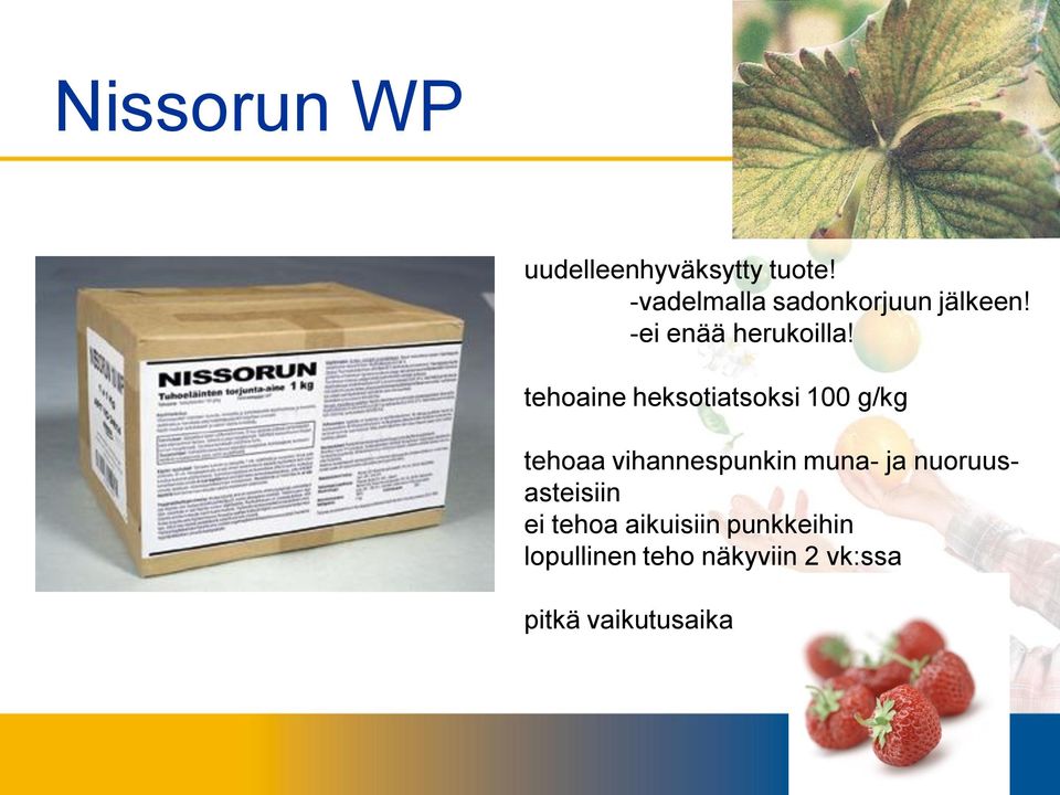 tehoaine heksotiatsoksi 100 g/kg tehoaa vihannespunkin muna- ja