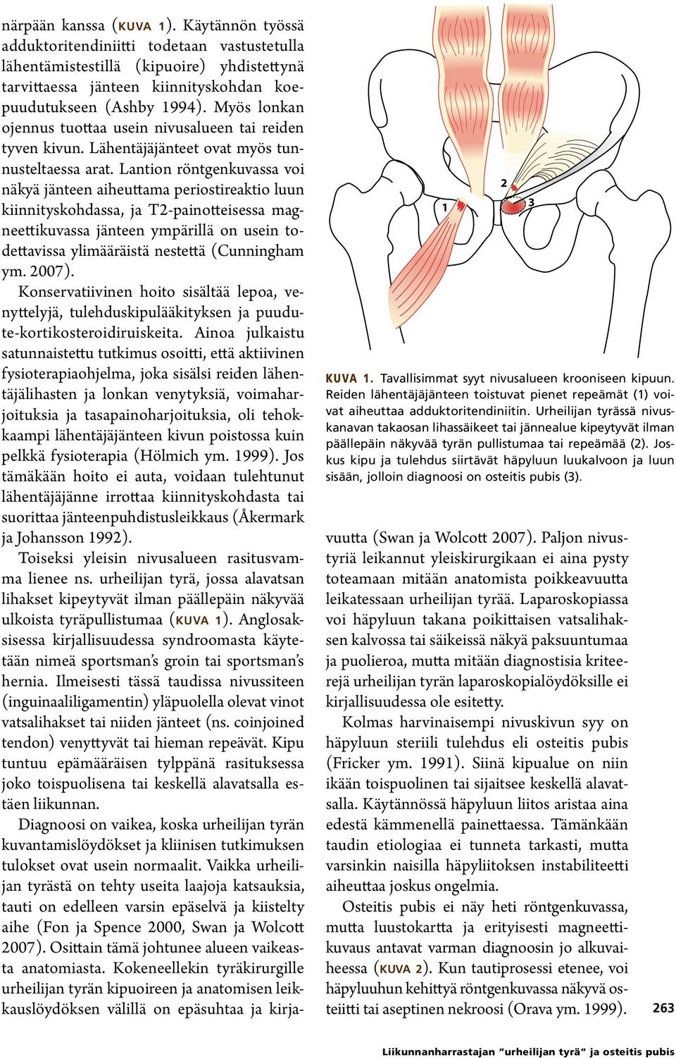 Joskus kipu ja tulehdus siirtävät häpyluun luukalvoon ja luun sisään, jolloin diagnoosi on osteitis pubis (3). närpään kanssa (kuva 1).
