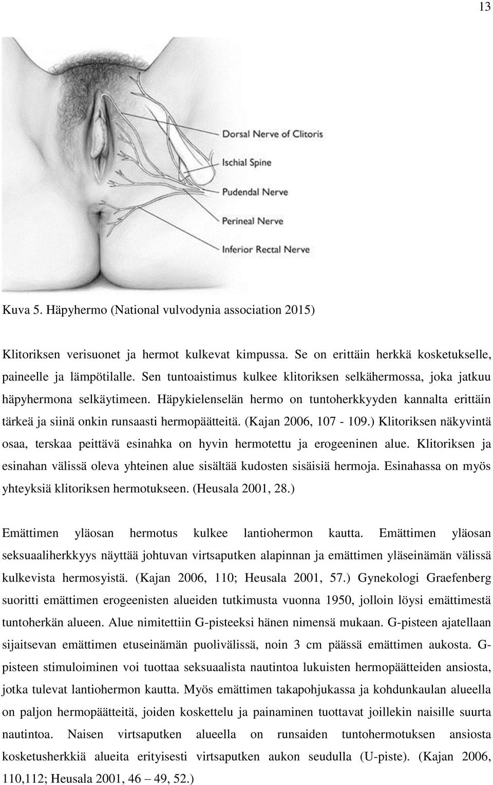 (Kajan 2006, 107-109.) Klitoriksen näkyvintä osaa, terskaa peittävä esinahka on hyvin hermotettu ja erogeeninen alue.