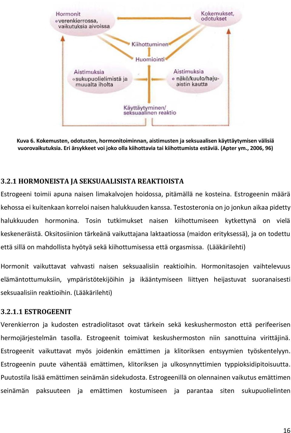 Estrogeenin määrä kehossa ei kuitenkaan korreloi naisen halukkuuden kanssa. Testosteronia on jo jonkun aikaa pidetty halukkuuden hormonina.