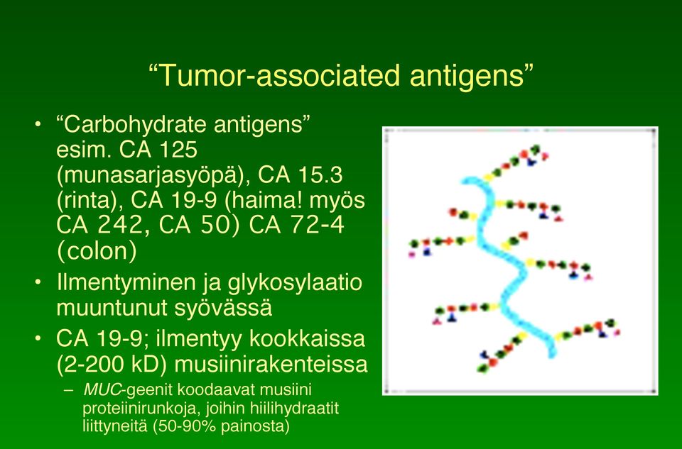 Ilmentyminen ja glykosylaatio muuntunut syövässä!