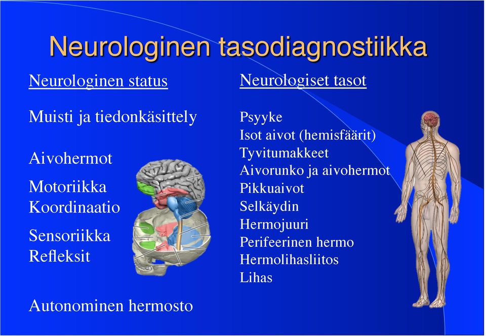 Neurologiset tasot Psyyke Isot aivot (hemisfäärit) Tyvitumakkeet Aivorunko ja
