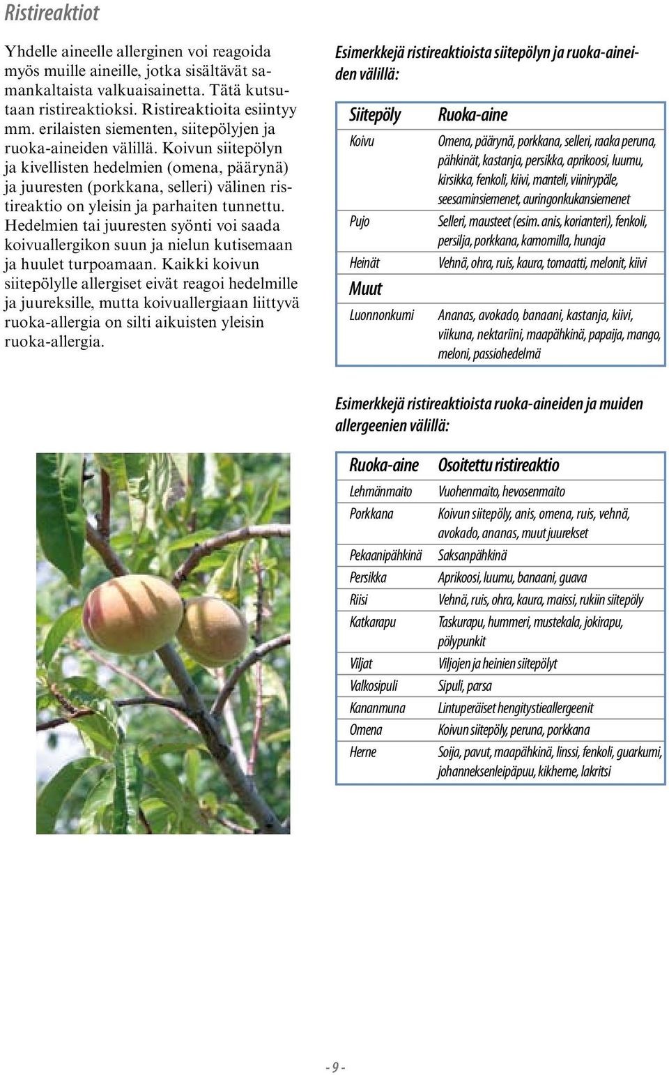 Koivun siitepölyn ja kivellisten hedelmien (omena, päärynä) ja juuresten (porkkana, selleri) välinen ristireaktio on yleisin ja parhaiten tunnettu.