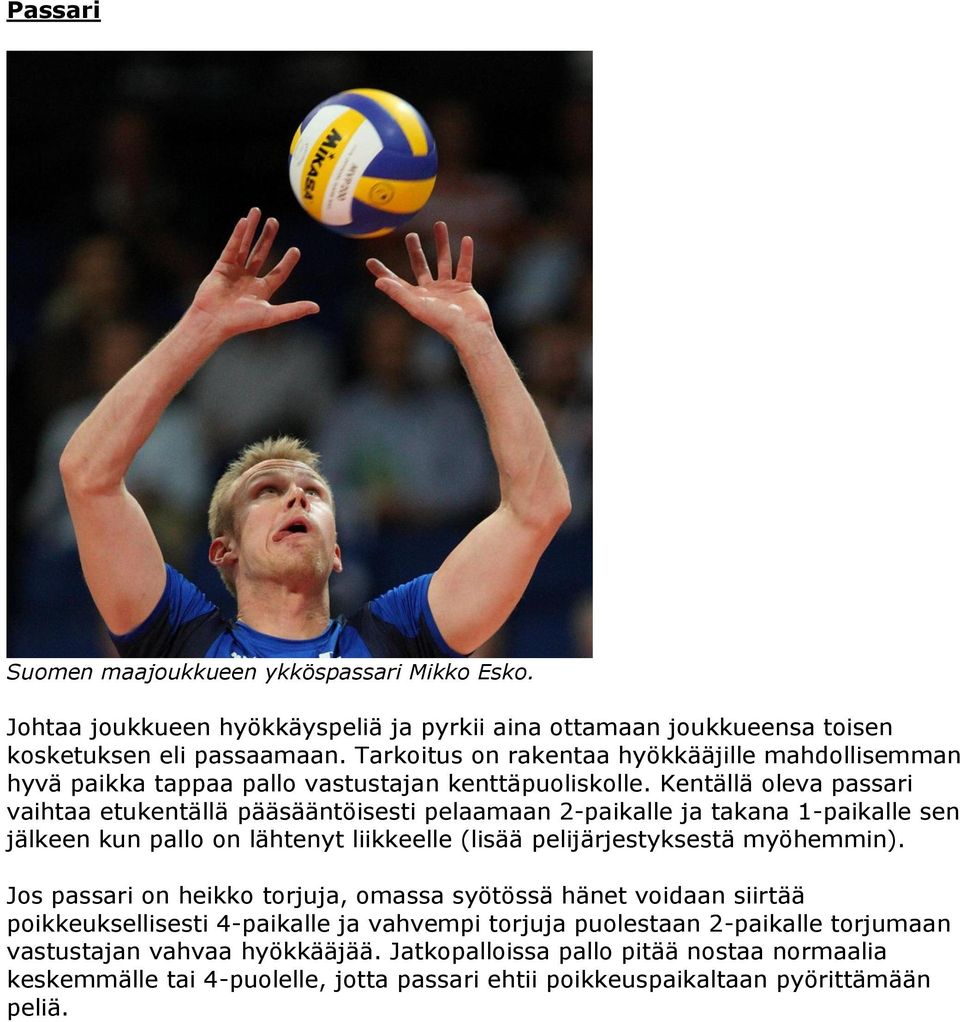 Lentopallon ja beach volleyn katsojan opas - PDF Ilmainen lataus