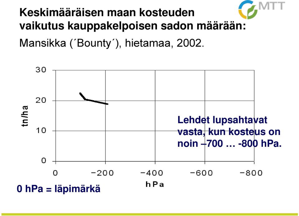 Bounty ), hietamaa, 2002.