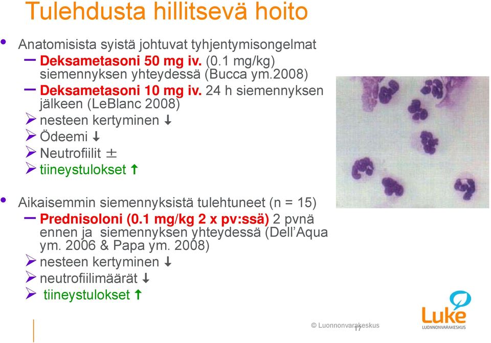 24 h siemennyksen jälkeen (LeBlanc 2008) nesteen kertyminen Ödeemi Neutrofiilit ± tiineystulokset Aikaisemmin