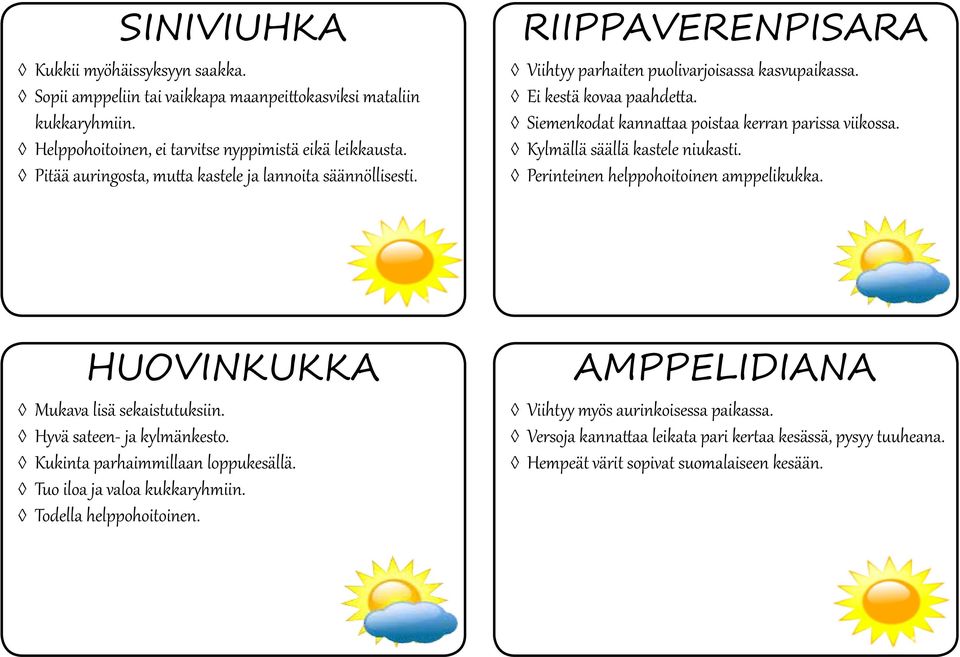 Siemenkodat kannattaa poistaa kerran parissa viikossa. Kylmällä säällä kastele niukasti. Perinteinen helppohoitoinen amppelikukka. HUOVINKUKKA Mukava lisä sekaistutuksiin.