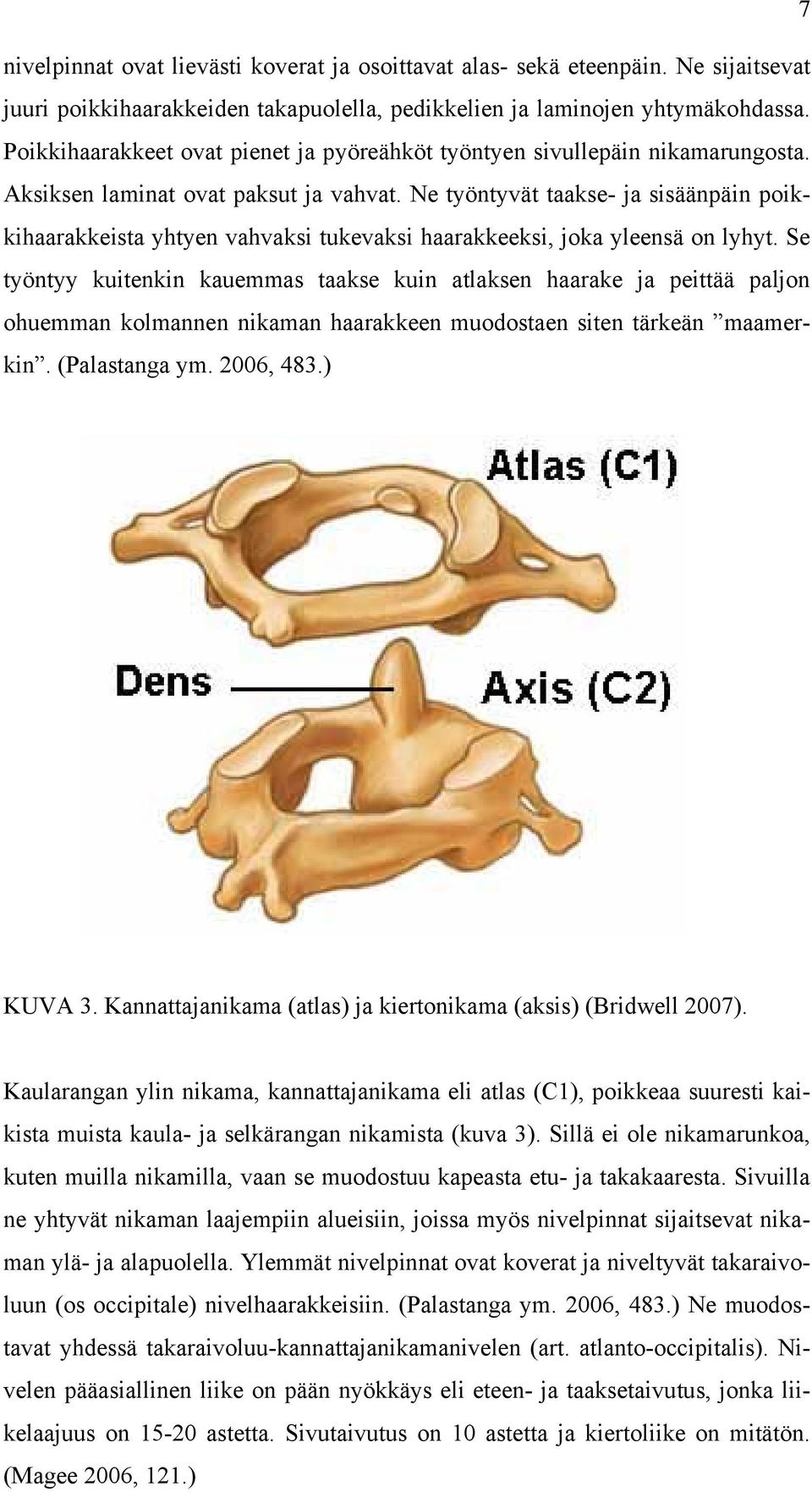 Ne työntyvät taakse- ja sisäänpäin poikkihaarakkeista yhtyen vahvaksi tukevaksi haarakkeeksi, joka yleensä on lyhyt.