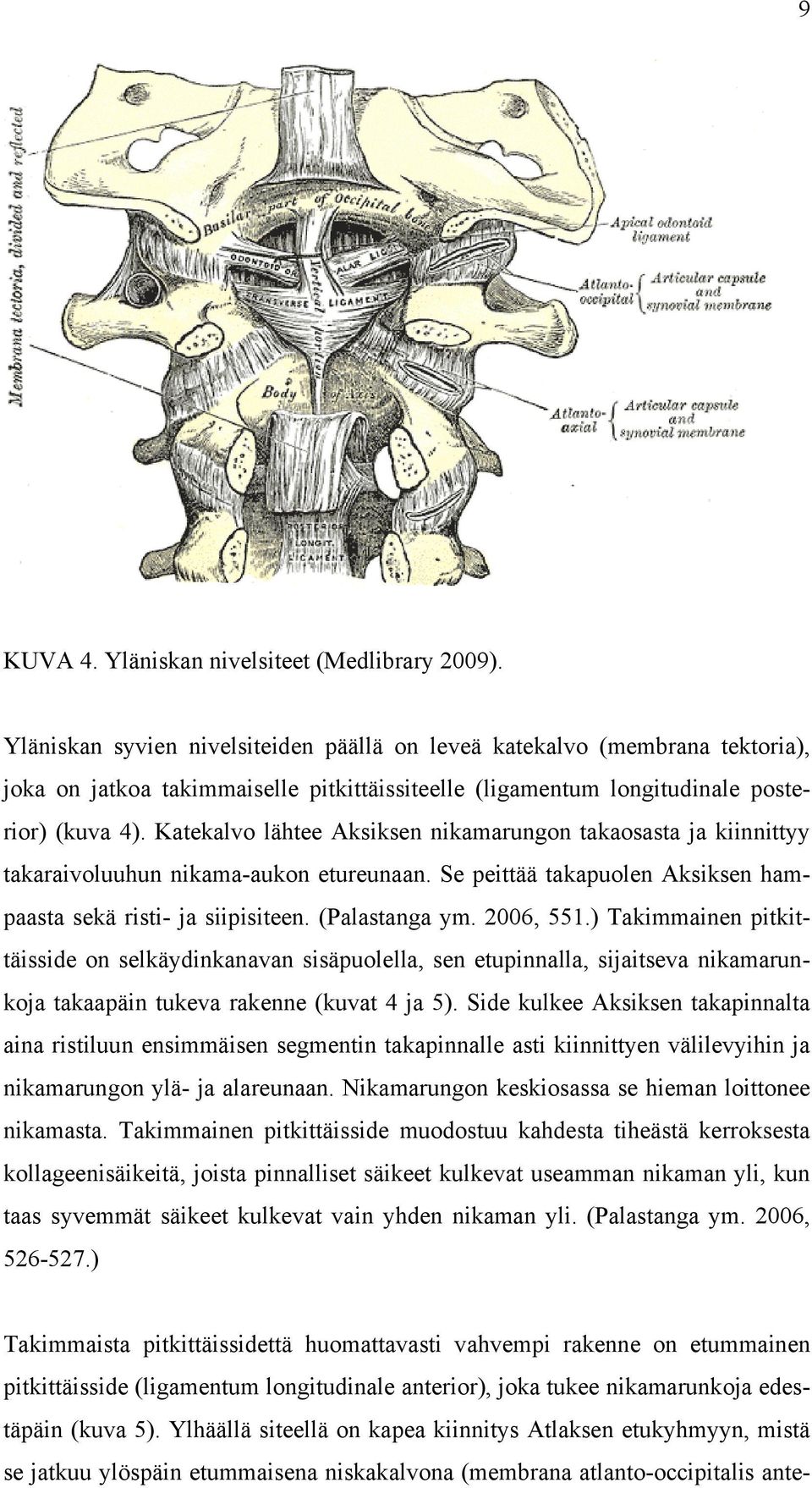 Katekalvo lähtee Aksiksen nikamarungon takaosasta ja kiinnittyy takaraivoluuhun nikama-aukon etureunaan. Se peittää takapuolen Aksiksen hampaasta sekä risti- ja siipisiteen. (Palastanga ym. 2006, 551.