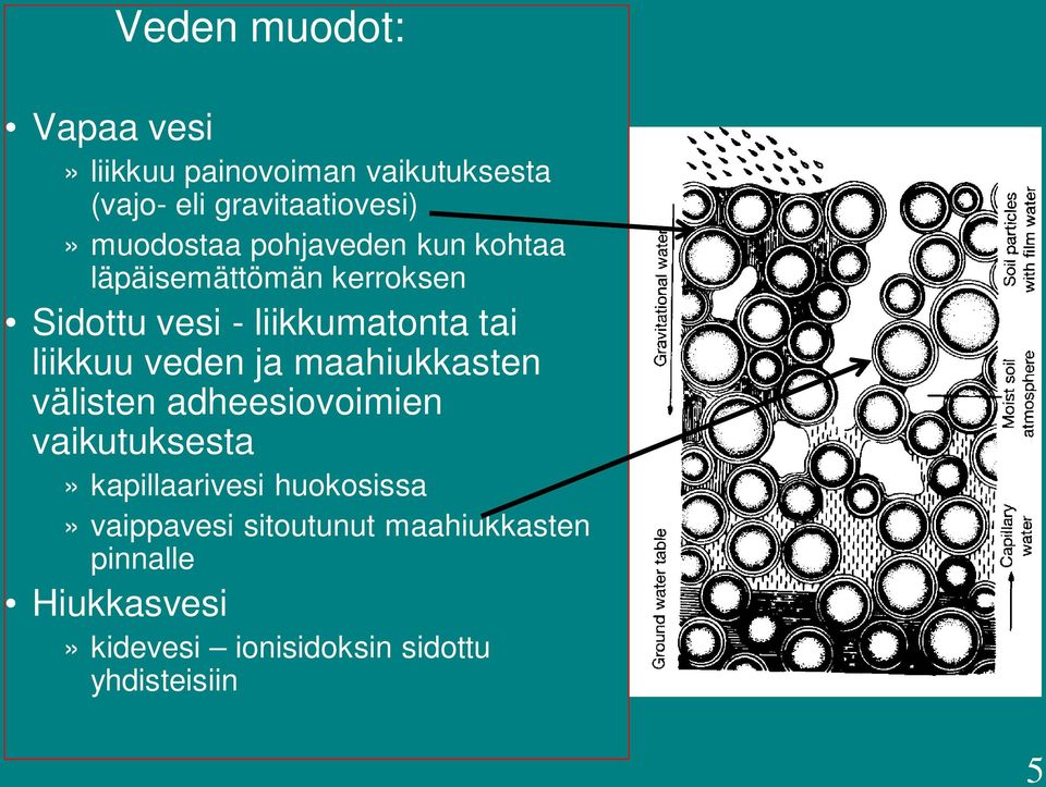 liikkuu veden ja maahiukkasten välisten adheesiovoimien vaikutuksesta» kapillaarivesi