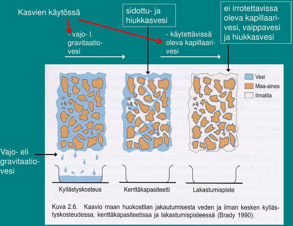 käytettävissä oleva kapillaarivesi ei