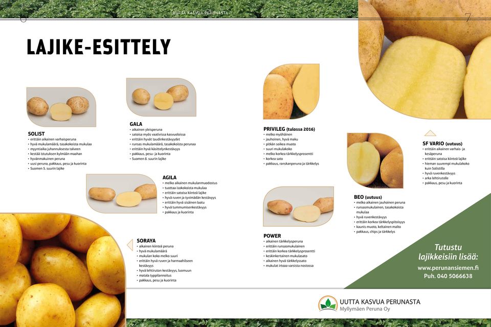 suurin lajike GALA aikainen yleisperuna satoisa myös vaativissa kasvuoloissa erittäin hyvät taudinkestävyydet runsas mukulamäärä, tasakokoista perunaa erittäin hyvä käsittelynkestävyys pakkaus, pesu-