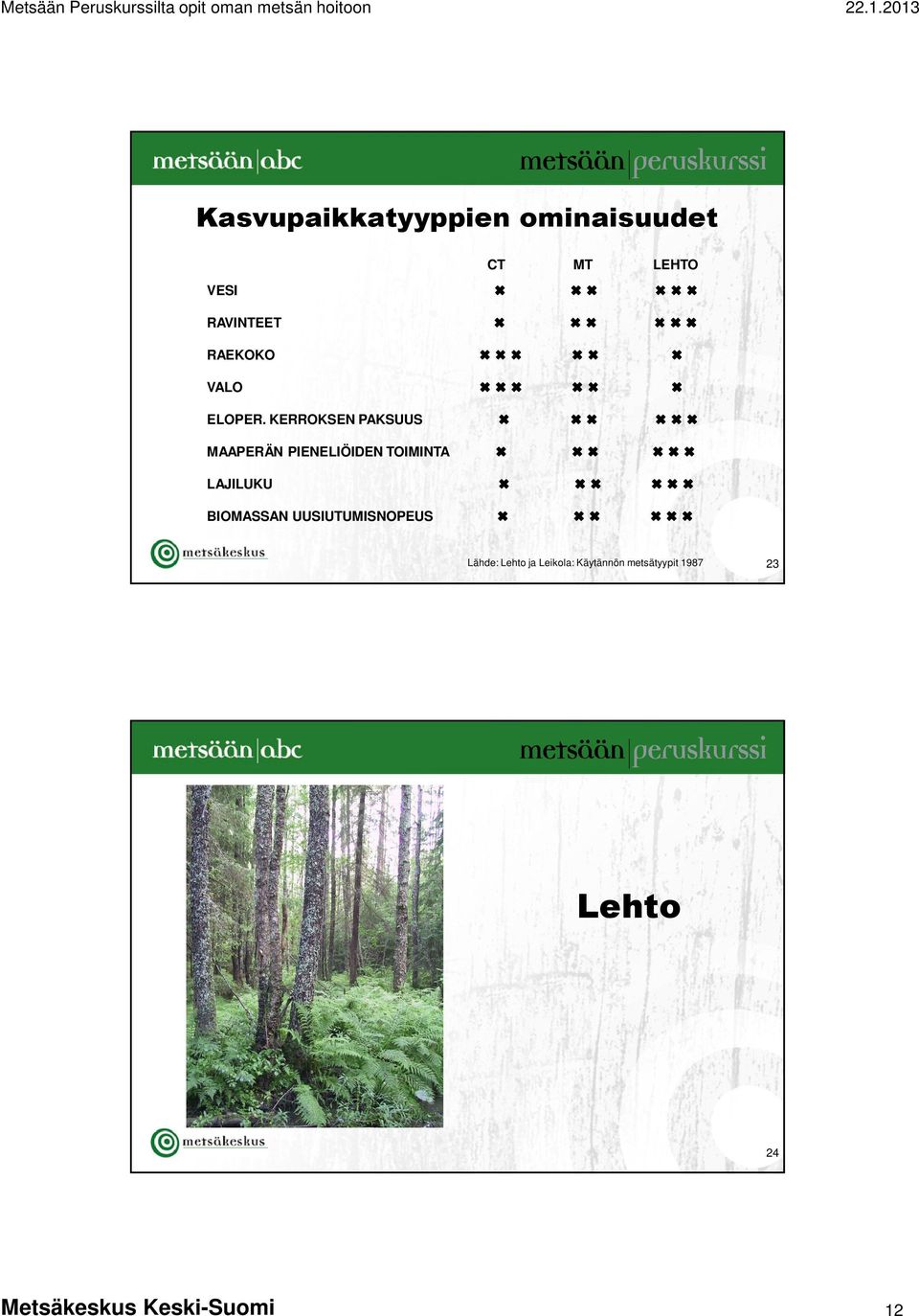 KERROKSEN PAKSUUS MAAPERÄN PIENELIÖIDEN TOIMINTA LAJILUKU