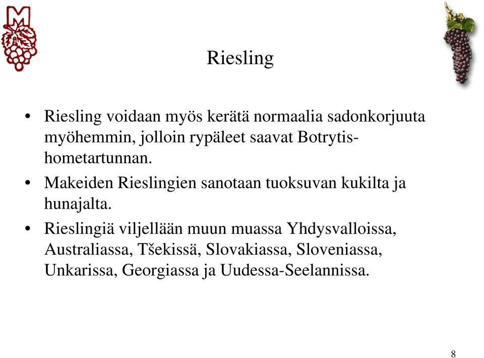 Makeiden Rieslingien sanotaan tuoksuvan kukilta ja hunajalta.