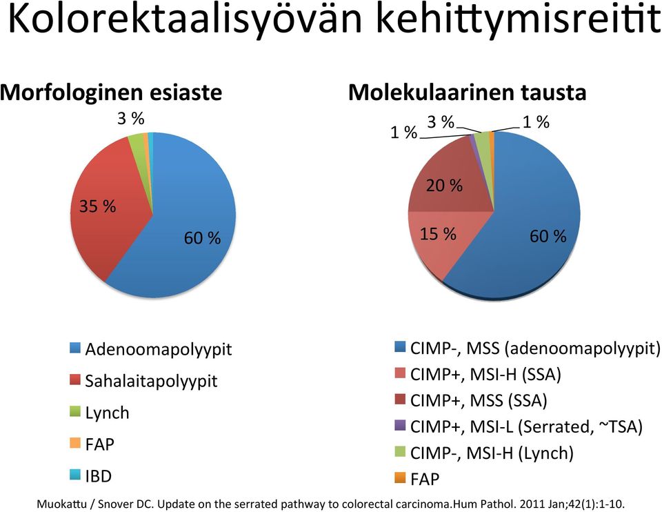 CIMP+, MSI- H (SSA) CIMP+, MSS (SSA) CIMP+, MSI- L (Serrated, ~TSA) CIMP-, MSI- H (Lynch) FAP