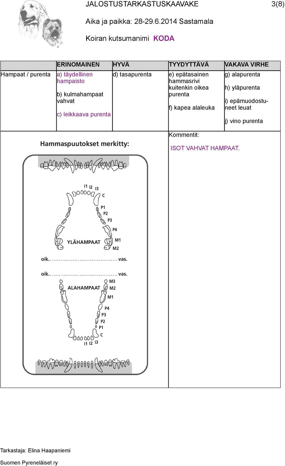 alapurenta h) yläpurenta i) epämuodostuneet leuat j) vino purenta Hammaspuutokset merkitty: ISOT VAHVAT