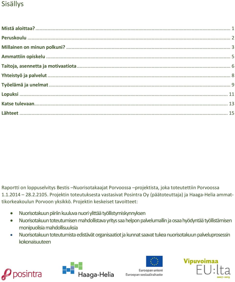 Projektin toteutuksesta vastasivat Posintra Oy (päätoteuttaja) ja Haaga-Helia ammattikorkeakoulun Porvoon yksikkö.