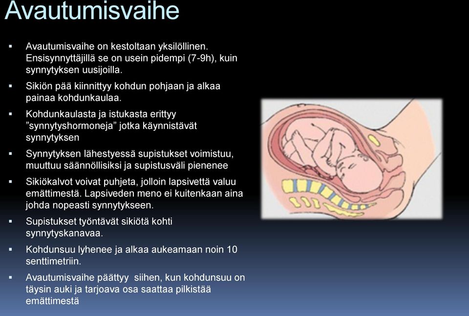 Kohdunkaulasta ja istukasta erittyy synnytyshormoneja jotka käynnistävät synnytyksen Synnytyksen lähestyessä supistukset voimistuu, muuttuu säännöllisiksi ja supistusväli pienenee