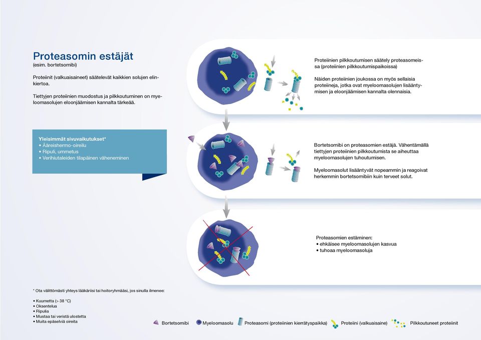 Proteiinien pilkkoutumisen säätely proteasomeissa (proteiinien pilkkoutumispaikoissa) Näiden proteiinien joukossa on myös sellaisia proteiineja, jotka ovat myeloomasolujen lisääntymisen ja