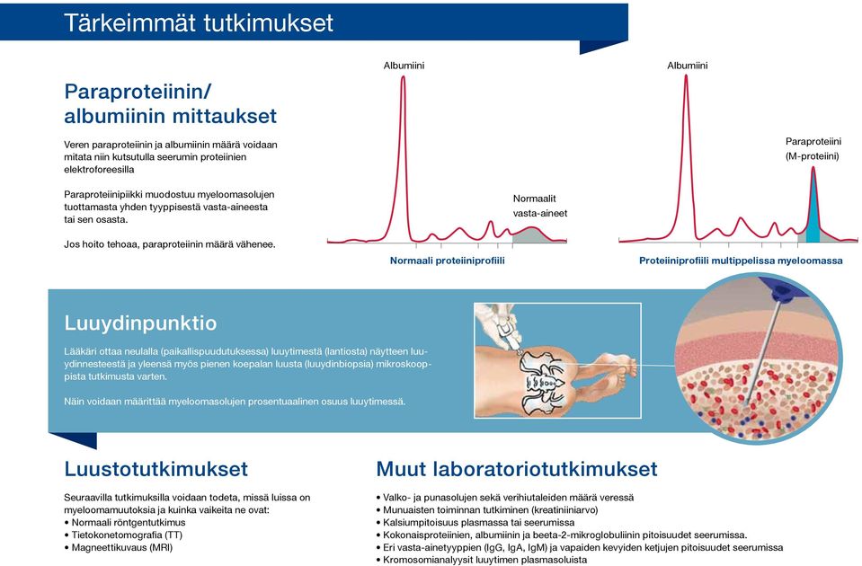 Normaalit vasta-aineet Jos hoito tehoaa, paraproteiinin määrä vähenee.