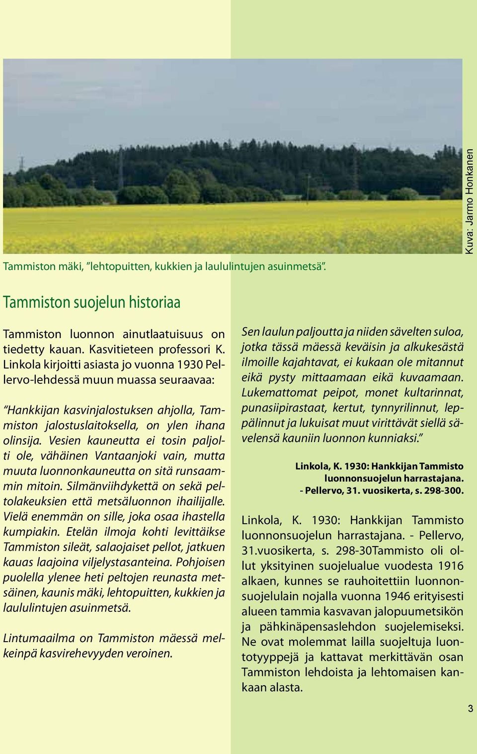 Vesien kauneutta ei tosin paljolti ole, vähäinen Vantaanjoki vain, mutta muuta luonnonkauneutta on sitä runsaammin mitoin. Silmänviihdykettä on sekä peltolakeuksien että metsäluonnon ihailijalle.