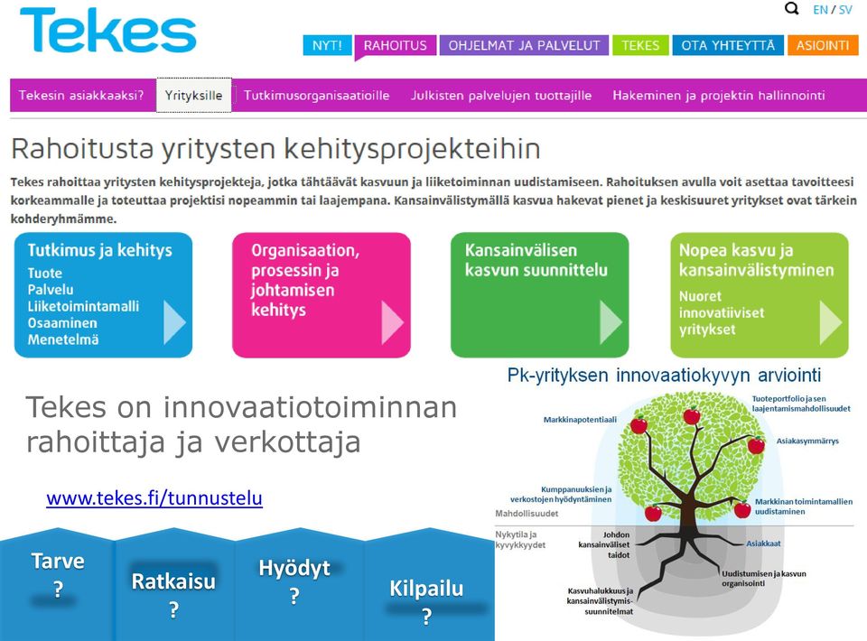 rahoittaja ja verkottaja