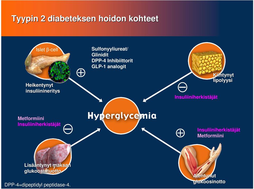 Insuliiniherkistäjät Metformiini Insuliiniherkistäjät Insuliiniherkistäjät