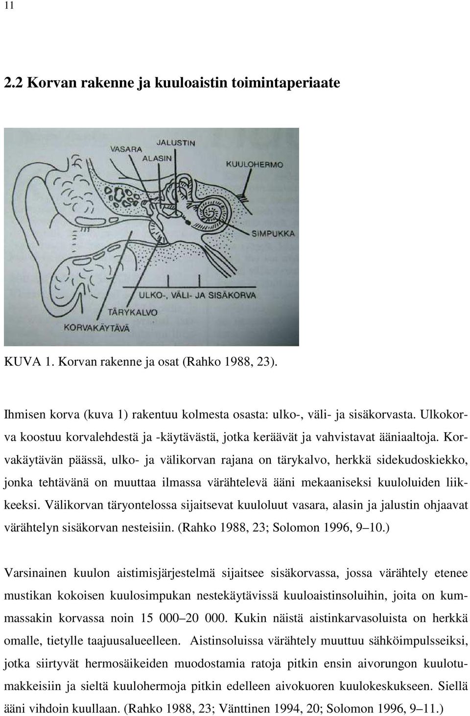 Korvakäytävän päässä, ulko- ja välikorvan rajana on tärykalvo, herkkä sidekudoskiekko, jonka tehtävänä on muuttaa ilmassa värähtelevä ääni mekaaniseksi kuuloluiden liikkeeksi.