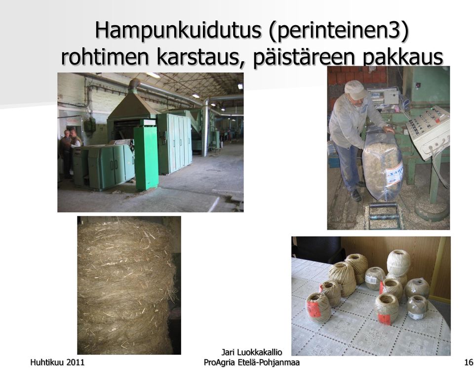 karstaus, päistäreen