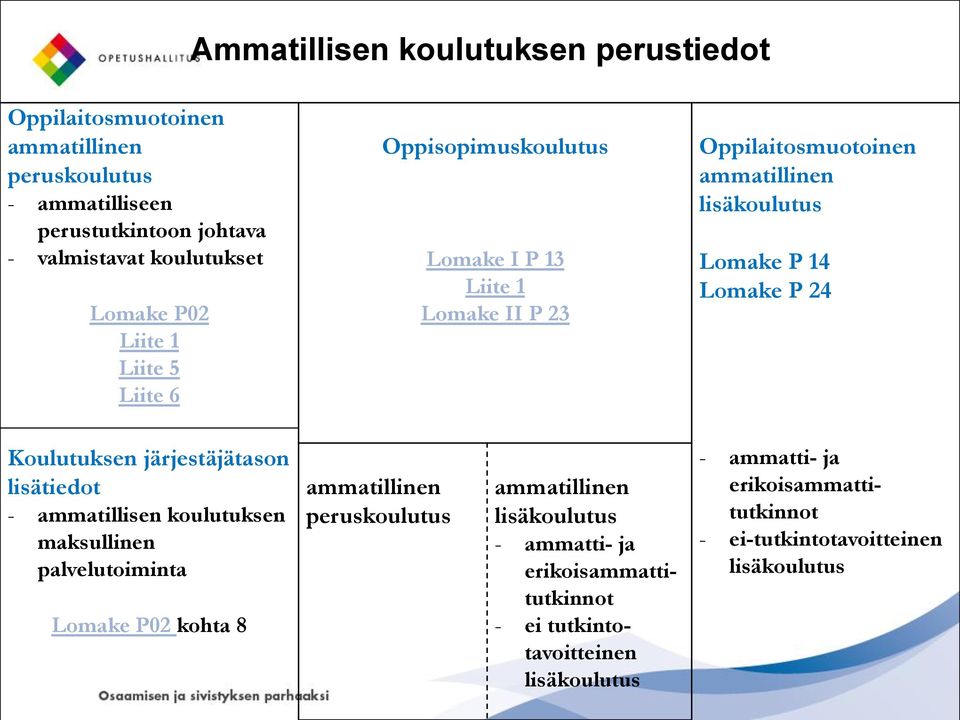 Koulutuksen järjestäjätason lisätiedot - ammatillisen koulutuksen maksullinen palvelutoiminta Lomake P02 kohta 8 ammatillinen peruskoulutus ammatillinen