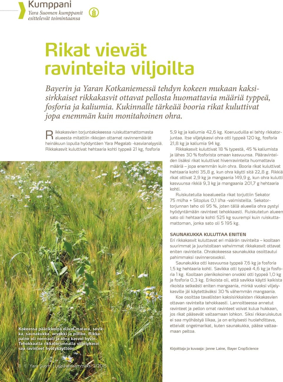 R ikkakasvien torjuntakokeessa ruiskuttamattomasta alueesta mitattiin rikkojen ottamat ravinnemäärät heinäkuun lopulla hyödyntäen Yara Megalab -kasvianalyysiä.