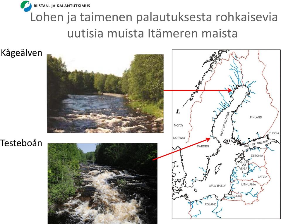 rohkaisevia uutisia