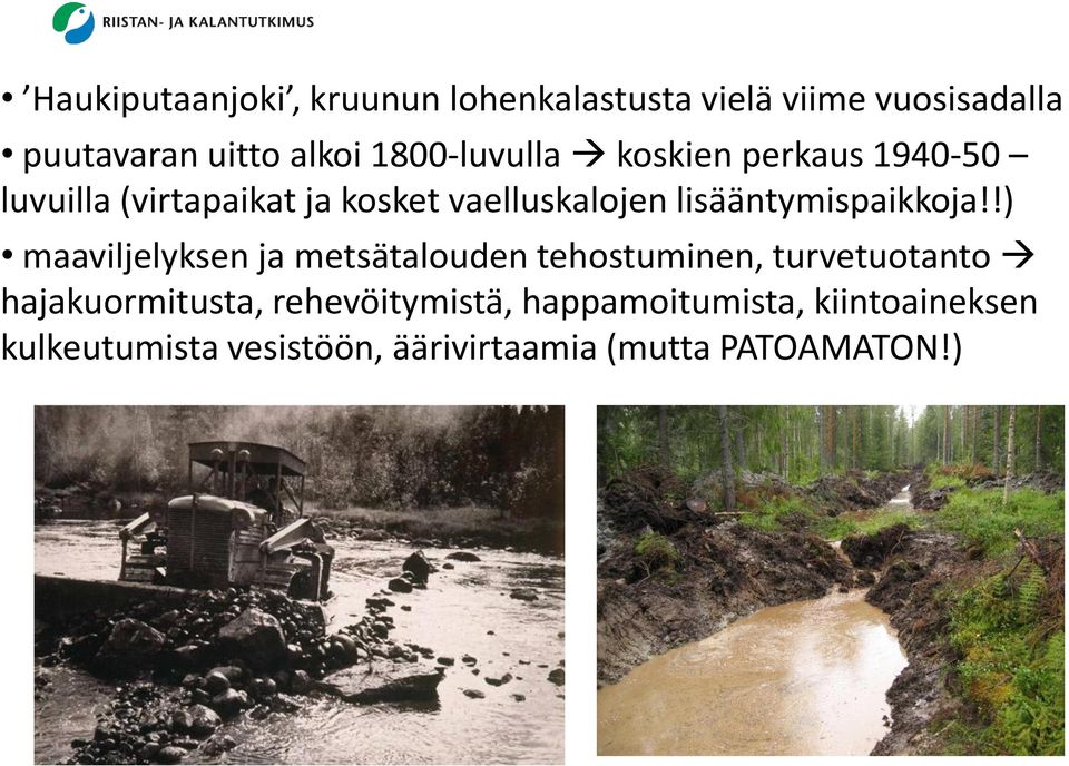 lisääntymispaikkoja!