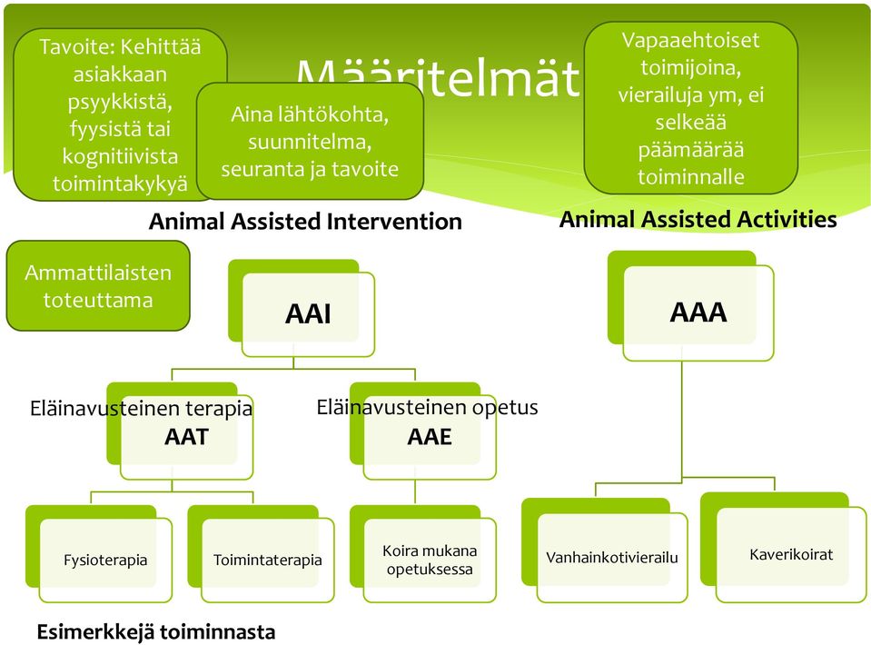 päämäärää toiminnalle Animal Assisted Activities Ammattilaisten toteuttama AAI AAA Eläinavusteinen terapia AAT