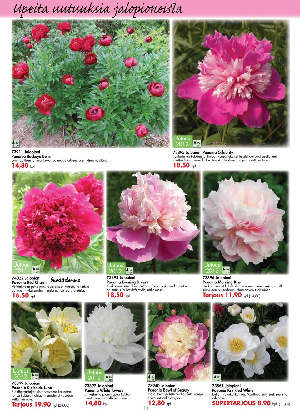 18,50 kpl 2011 Suosittelee 74022 Jalopioni Paeonia Red Char Voiakkaan punainen, täyteläisesti kerrottu ja vahvavartinen yksi parhaiista punaisista pioneista.