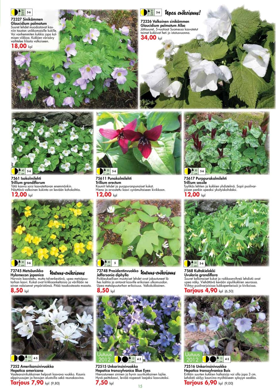 34,00 kpl 40 7561 Isokolilehti Trilliu grandifloru Tätä kasvia soisi kasvatettavan eneänkin. Näyttävä valkoinen kukinta on kevään kohokohtia.