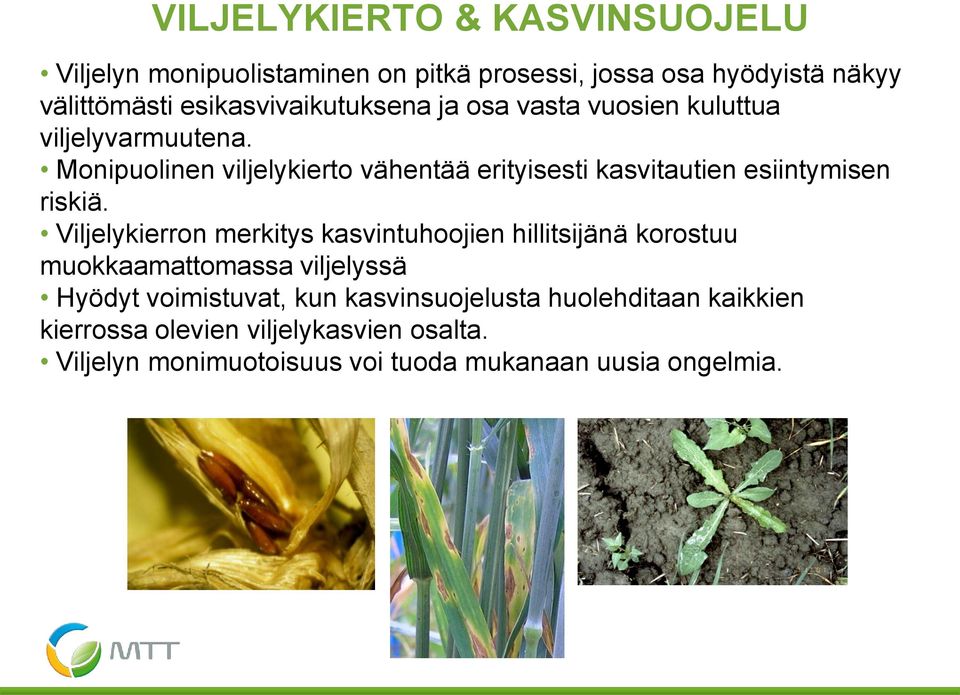 Monipuolinen viljelykierto vähentää erityisesti kasvitautien esiintymisen riskiä.