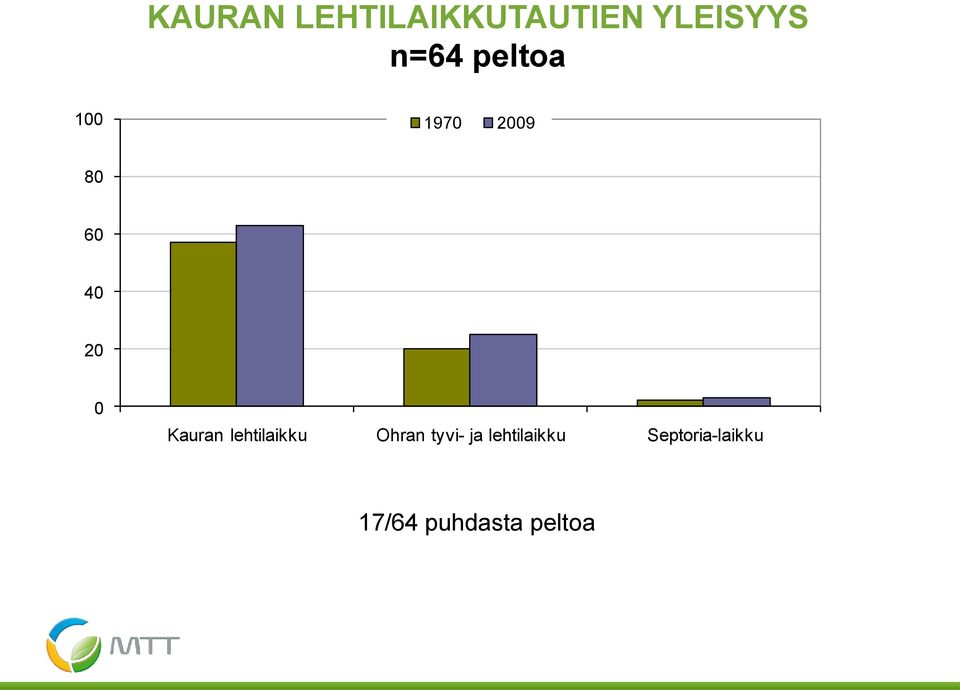 Kauran lehtilaikku Ohran tyvi- ja