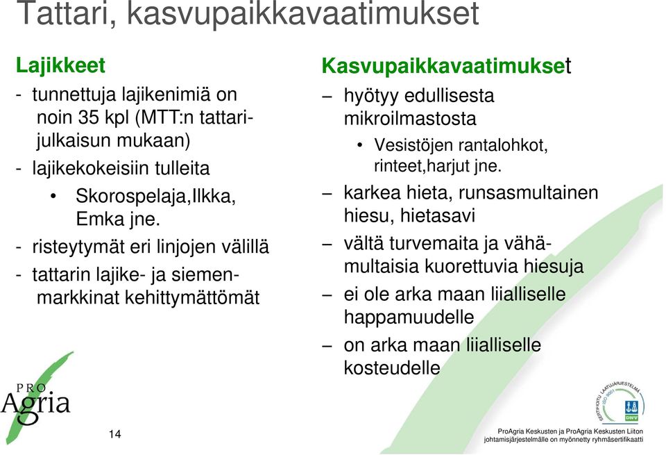 - risteytymät eri linjojen välillä - tattarin lajike- ja siemenmarkkinat kehittymättömät Kasvupaikkavaatimukset hyötyy edullisesta