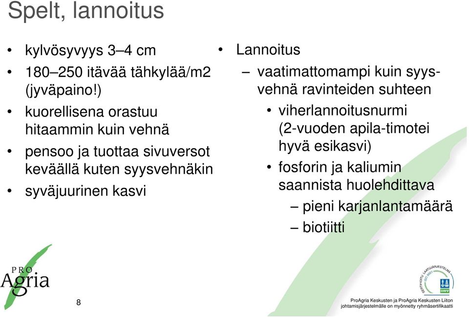 syysvehnäkin syväjuurinen kasvi Lannoitus vaatimattomampi kuin syysvehnä ravinteiden suhteen