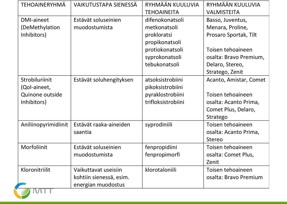 saantia Estävät soluseinien muodostumista Vaikuttavat useisiin kohtiin sienessä, esim.