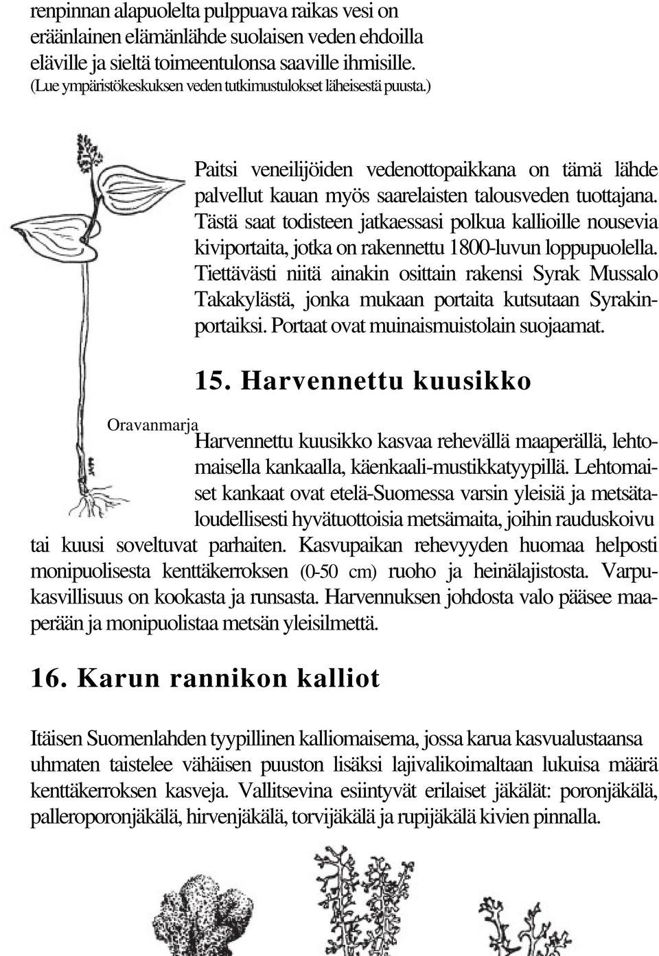 Tästä saat todisteen jatkaessasi polkua kallioille nousevia kiviportaita, jotka on rakennettu 1800-luvun loppupuolella.