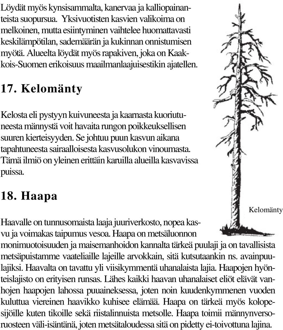 Alueelta löydät myös rapakiven, joka on Kaakkois-Suomen erikoisuus maailmanlaajuisestikin ajatellen. 17.